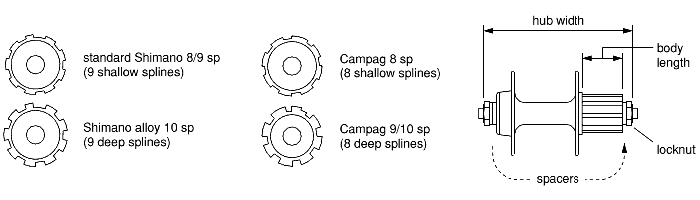 shimano cassette sizes